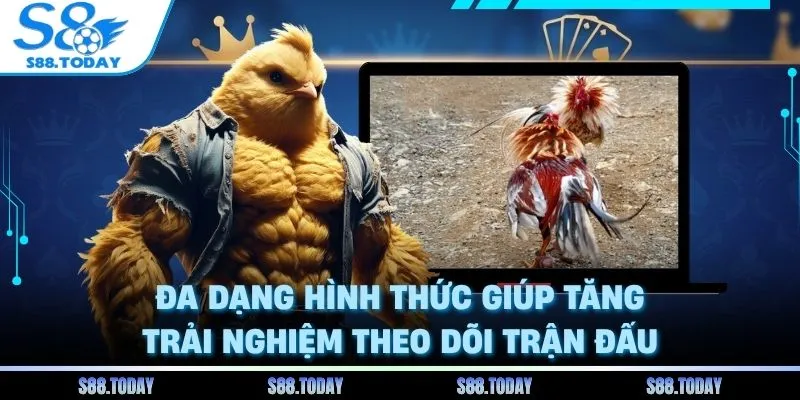 Đa dạng hình thức giúp tăng trải nghiệm theo dõi trận đấu