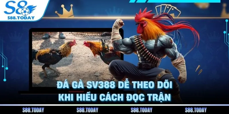 Đá gà SV388 dễ theo dõi khi hiểu cách đọc trận