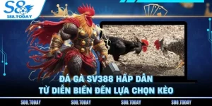 Đá Gà SV388 Hấp Dẫn Từ Diễn Biến Đến Lựa Chọn Kèo