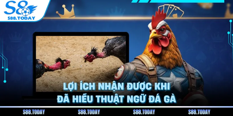 Lợi ích nhận được khi đã hiểu thuật ngữ đá gà