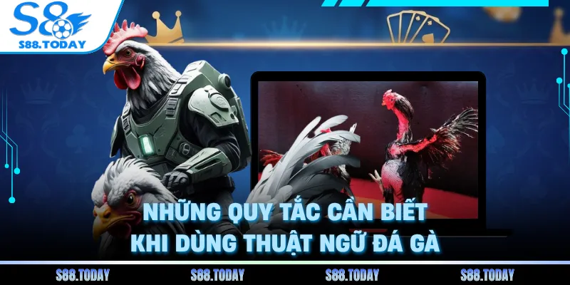 Những quy tắc cần biết khi dùng thuật ngữ đá gà