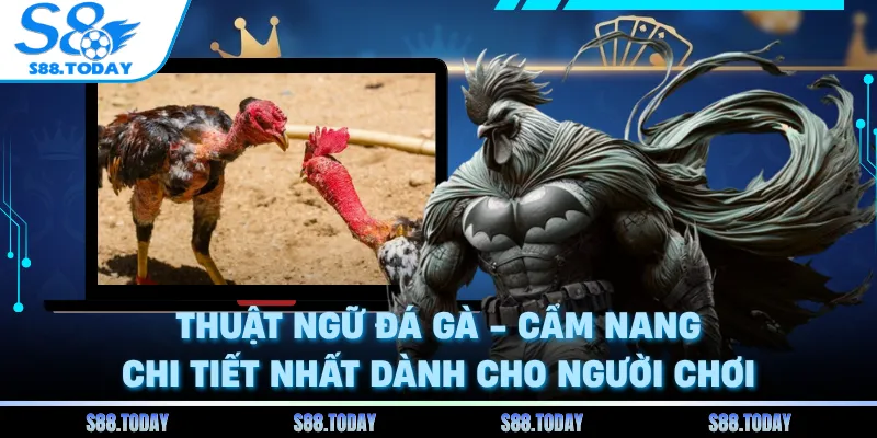 Thuật Ngữ Đá Gà - Cẩm Nang Chi Tiết Nhất Dành Cho Người Chơi