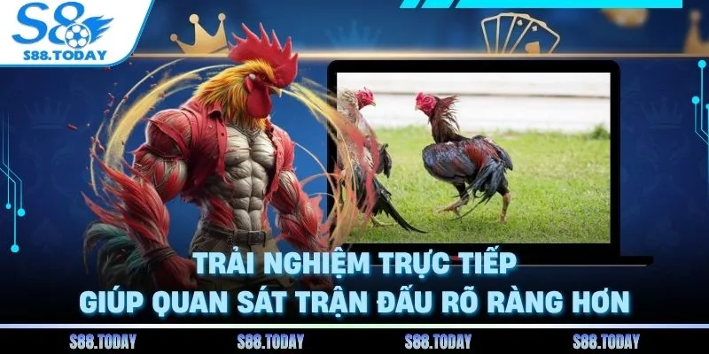 Trải nghiệm trực tiếp giúp quan sát trận đấu rõ ràng hơn