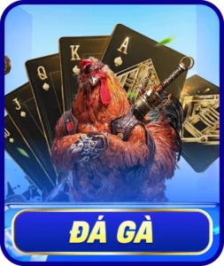 da-ga-s8